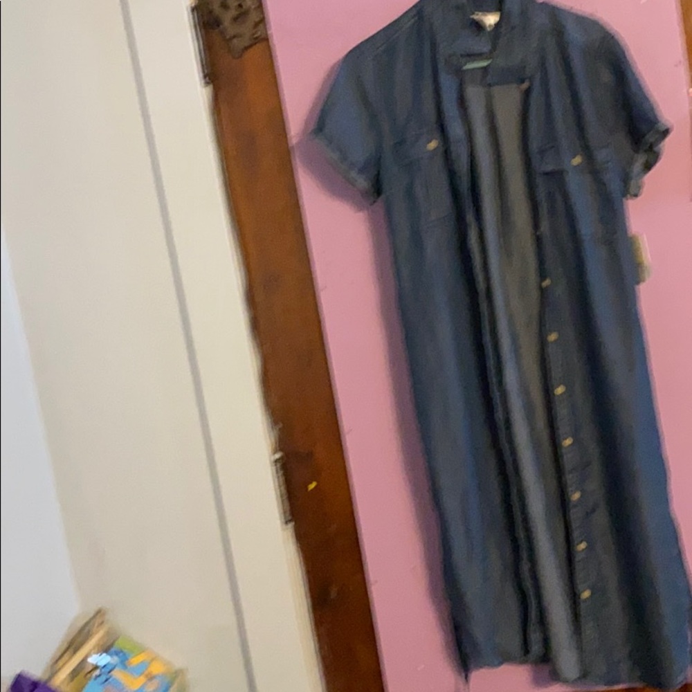 Blue Jean dress